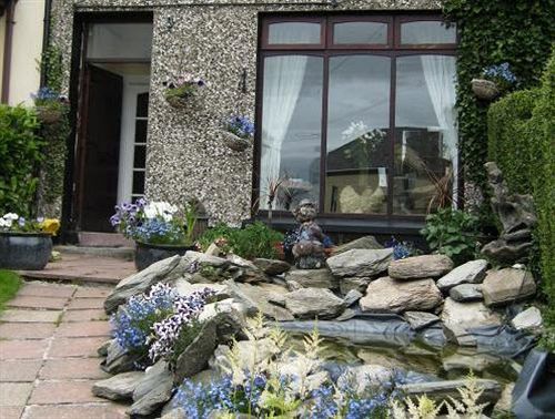 Number 43 Bed & Breakfast Londonderry Exterior photo